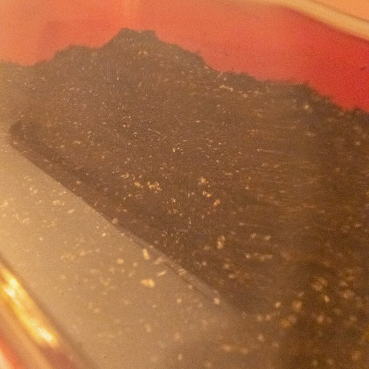 How Long Does It Take For A Monotub to Colonize