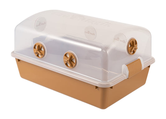 how to grow mushrooms in a monotub