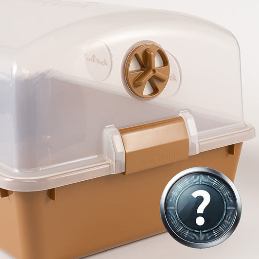 What Temperature Do You Colonize a Monotub