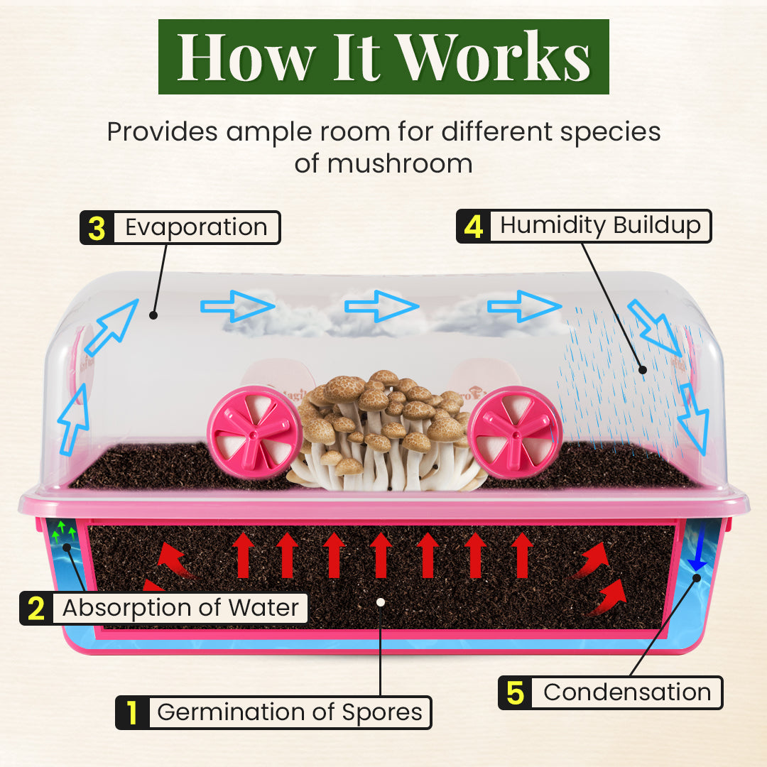 Gro Magik Monotub - Mushroom Grow Kit