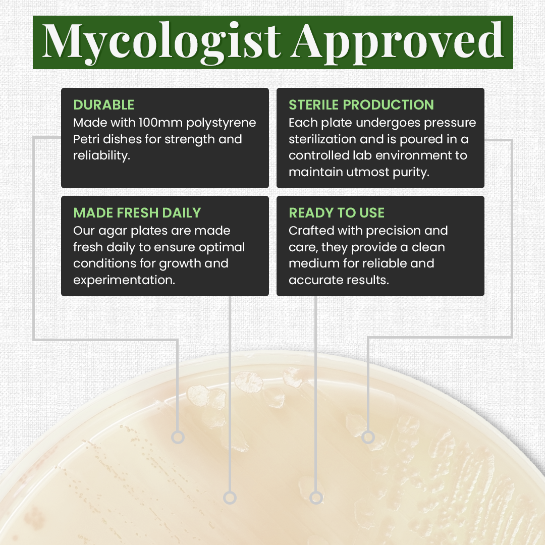 Gro Magik Pre-Poured Potato, Dextrose and Agar Plates for Mycology, 10-Packs