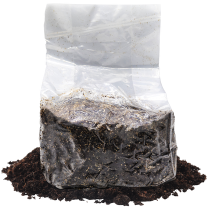 5 pound Cow Manure Mushroom Substrate