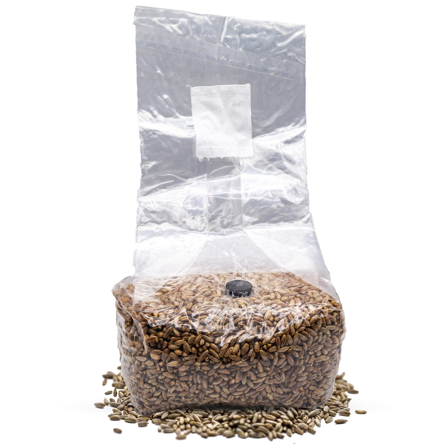 3lb sterilized rye grain spawn bag