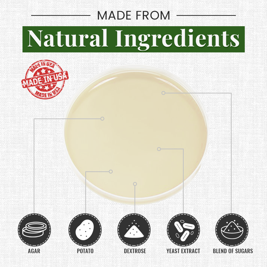 Gro Magik Pre-Poured Potato, Dextrose and Agar Plates for Mycology, 10-Packs