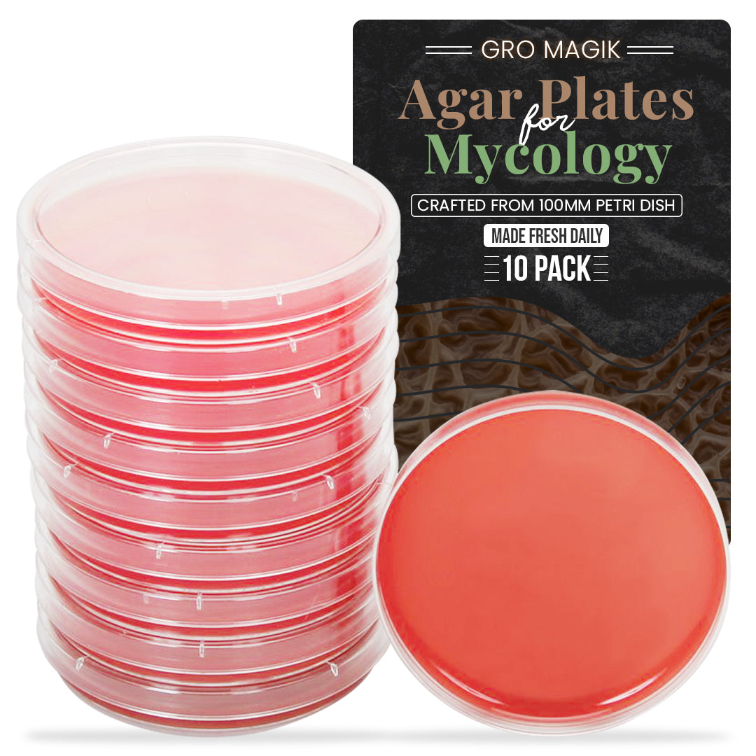 10 pack mushroom agar plates