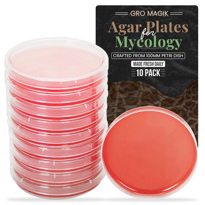 10 pack mushroom agar plates