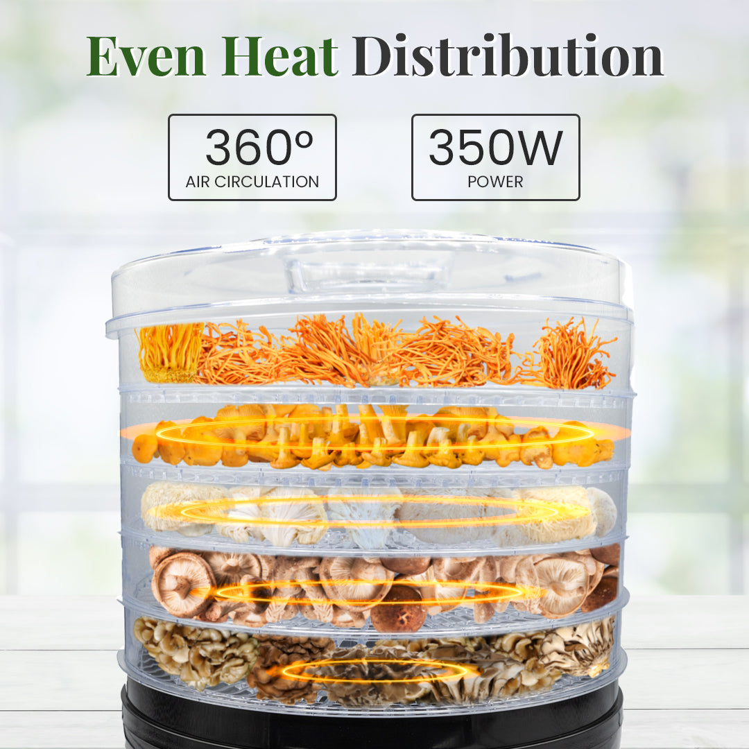 even heat distribution in dehydrator