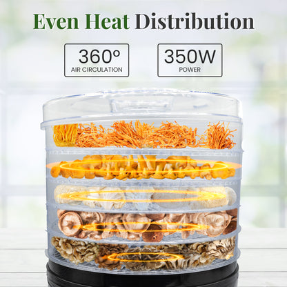 even heat distribution in dehydrator