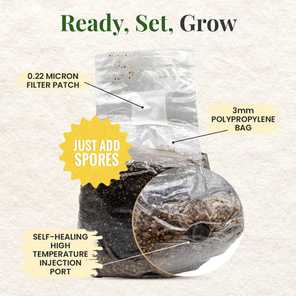 just add spores to our mushroom grow bag