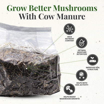 grow better mushrooms with cow manure