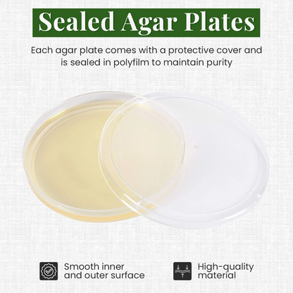 Gro Magik Pre-Poured Agar Plates for Mycology, 10-Pack