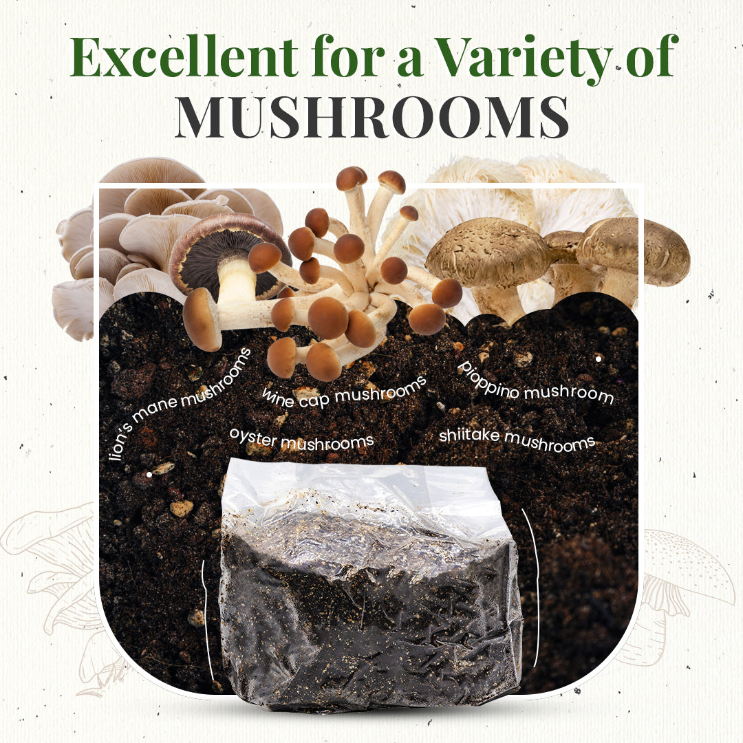 grow all types of mushrooms 