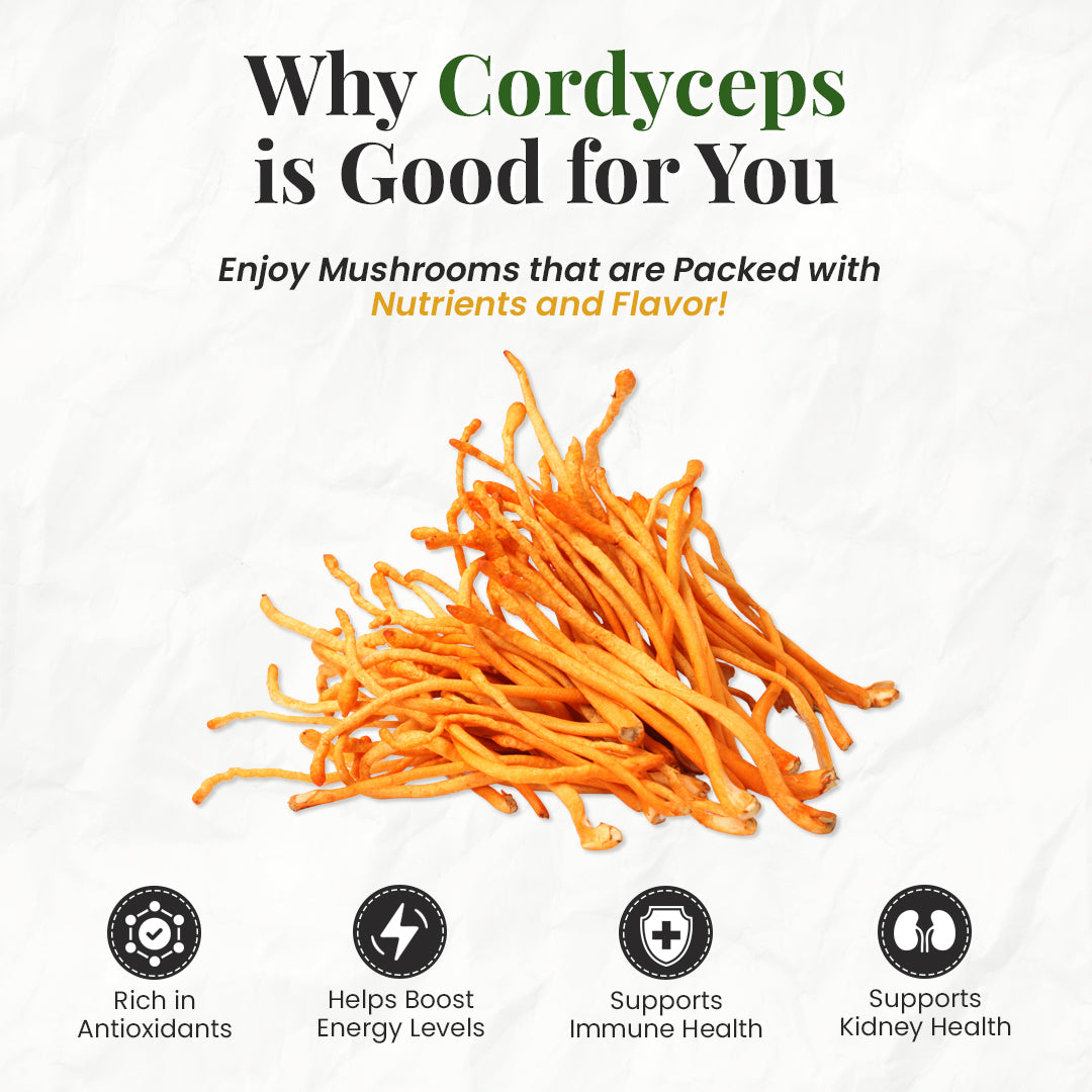 benefits of cordyceps