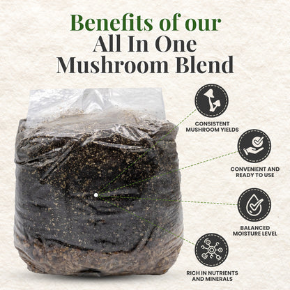 benefits of our all in one mushroom grow bags