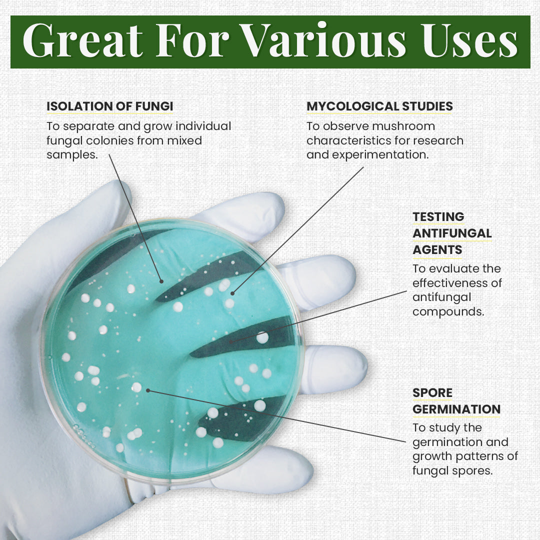 multiple uses for mushroom agar plates