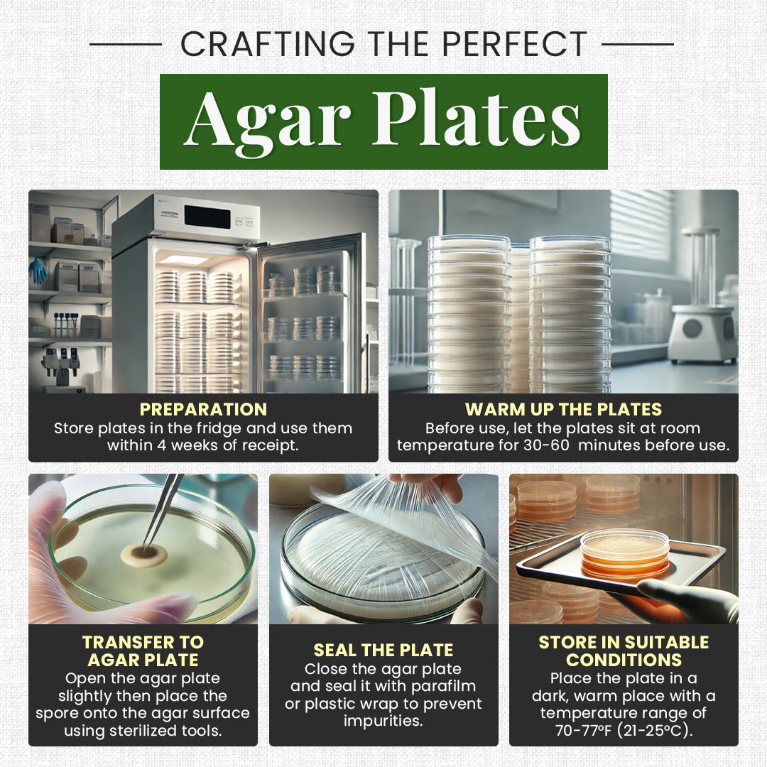 how to use agar plates