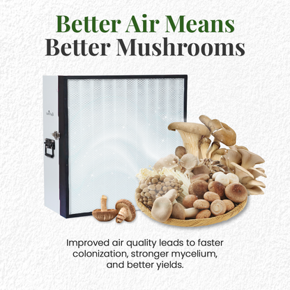 Laminar Flowhood with HEPA Filter and Pre-Filter Bundle