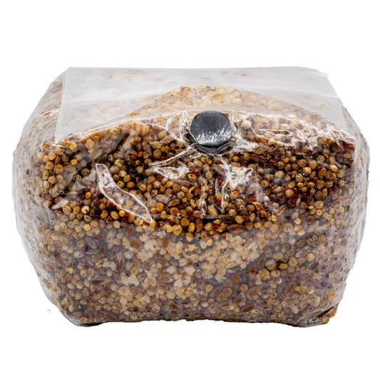 3 pound 5 grain mushroom spawn bag