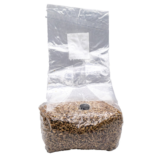 3lb sterilized rye grain mushroom spawn bag