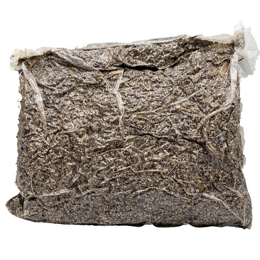 3 pound horse manure casing substrate