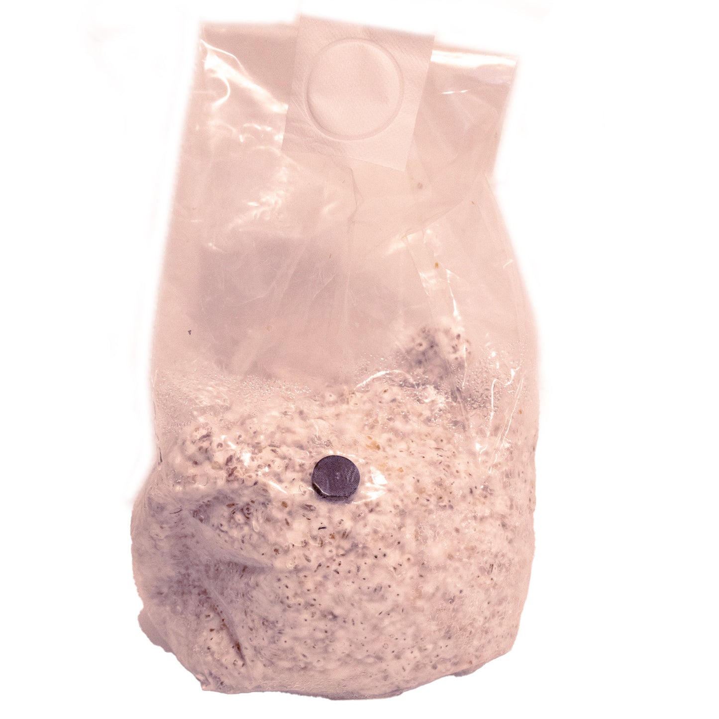 5 pound inoculated grain bag