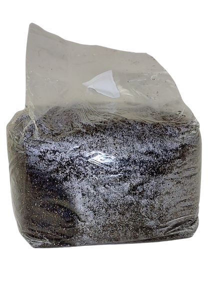 gro magik pasteurized substrate for mushroom growing