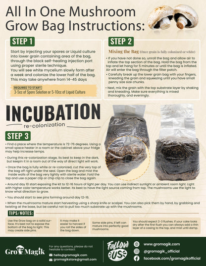 all in one mushroom grow bag instructions