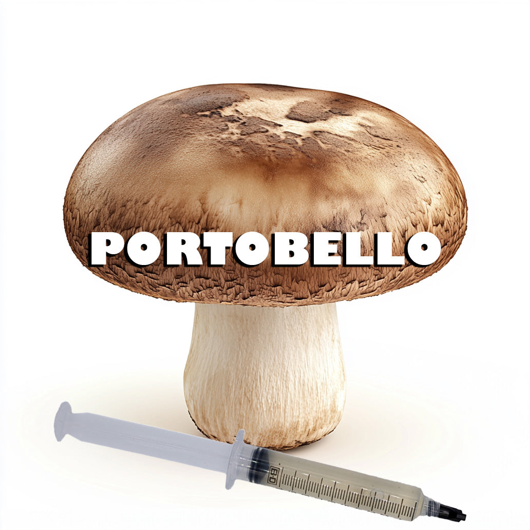 Portobello Liquid Culture Syringe