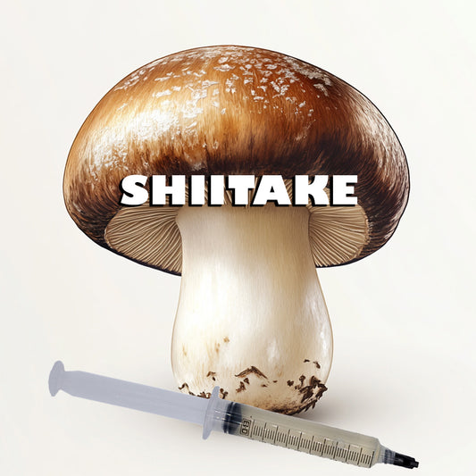 shiitake mushroom liquid culture syringe